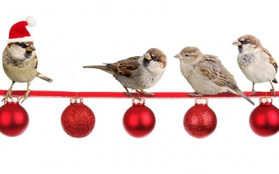 Let Your Clients Know